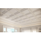 Декоративная панель Autoire Orac Decor W121 Полиуретан 500*500*32 мм